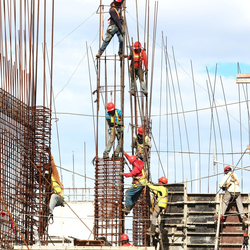 Développer un logiciel saisie de données optimisée sur le terrain