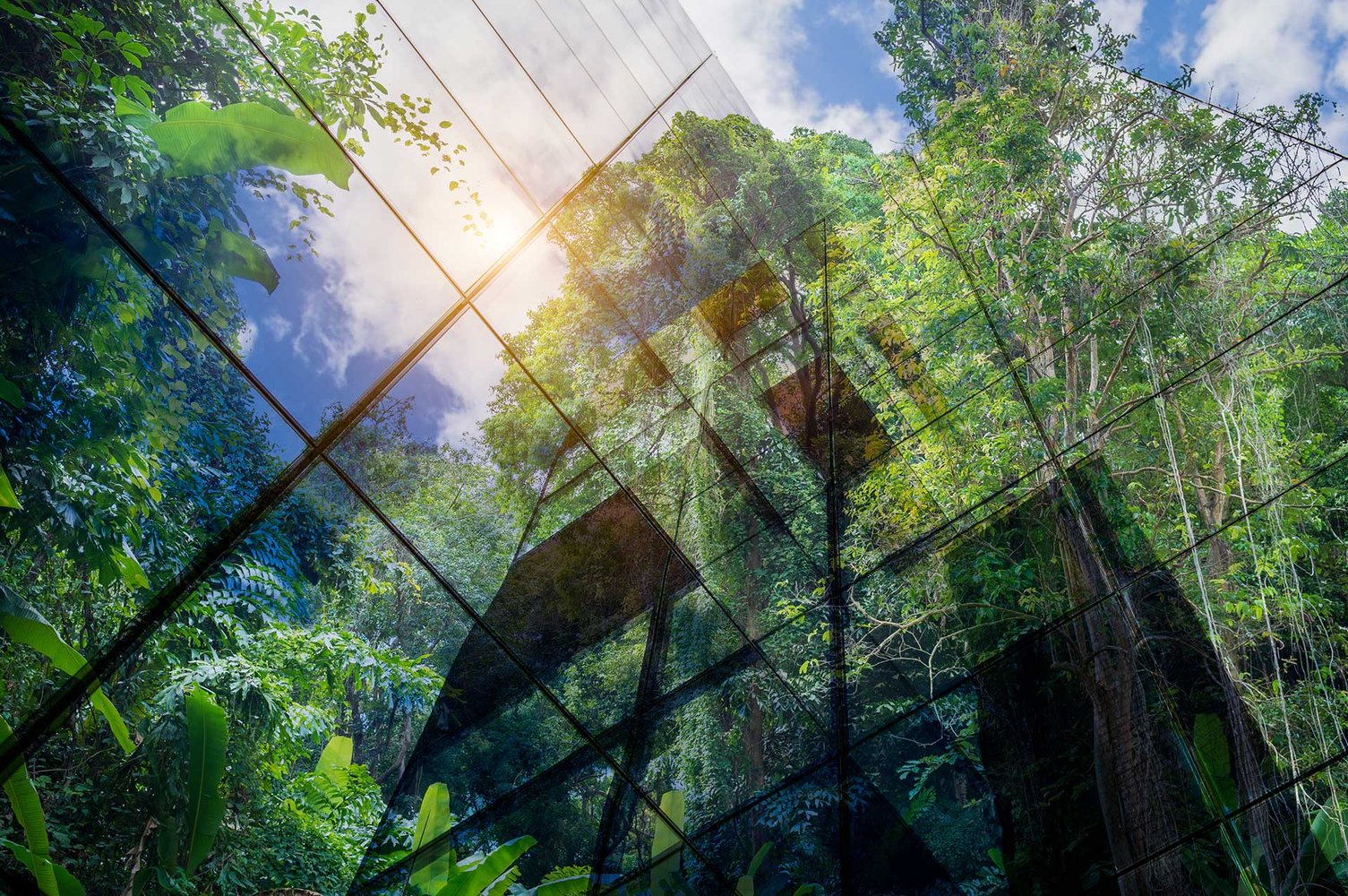 Moving from carbon estimating to accurate embodied carbon reporting