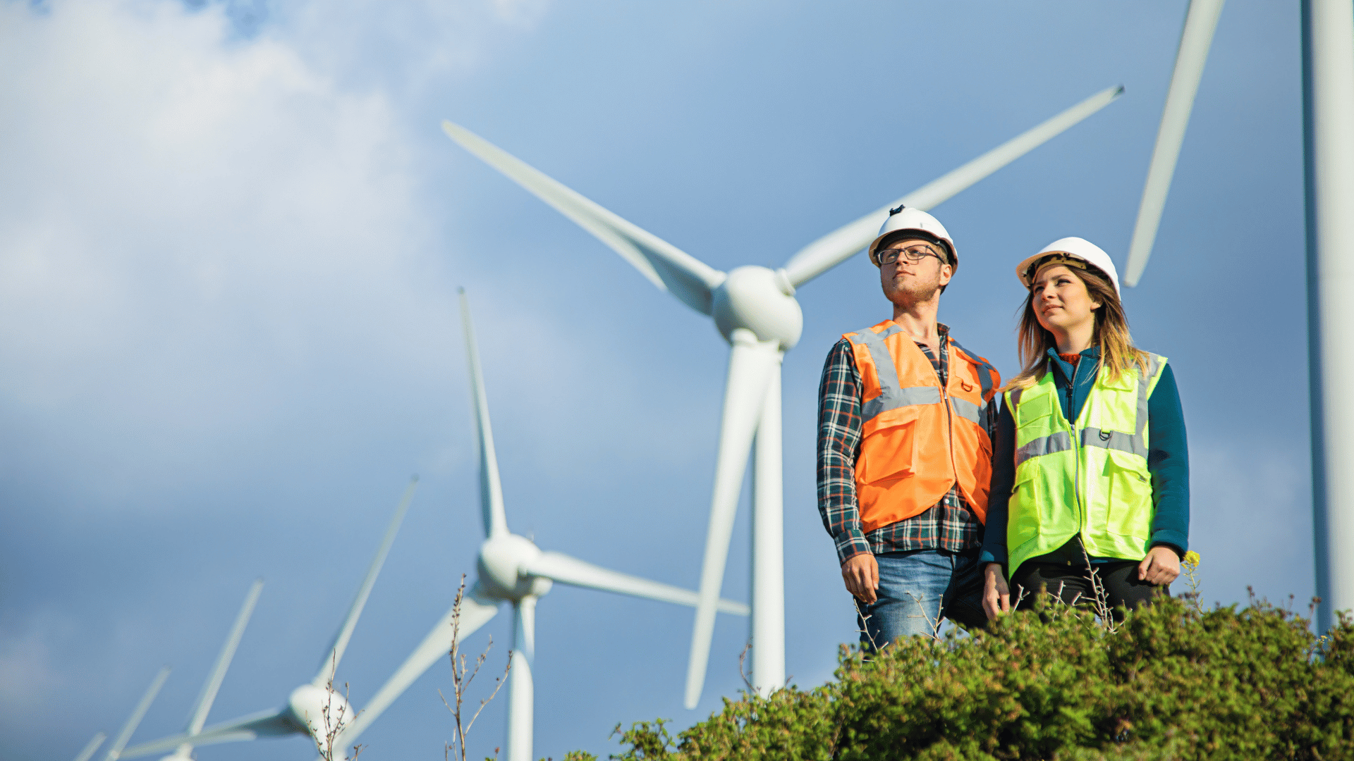 Sustainable Future Skills