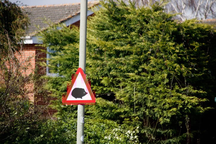 iStock-1384592782 Hedgehog Warning road sign stock photo